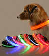 Luminous Fluorescent Pet Dog Collar