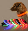  Luminous Fluorescent Pet Dog Collar
