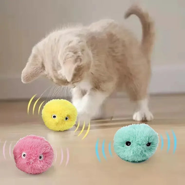 Cat Plush Interactive Ball