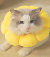 Small Pet Recovery Sunflower Collar